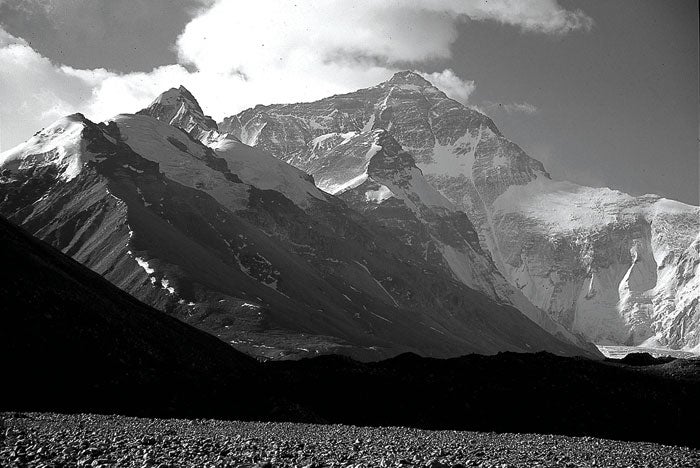 Wilson-Everest_29376 None