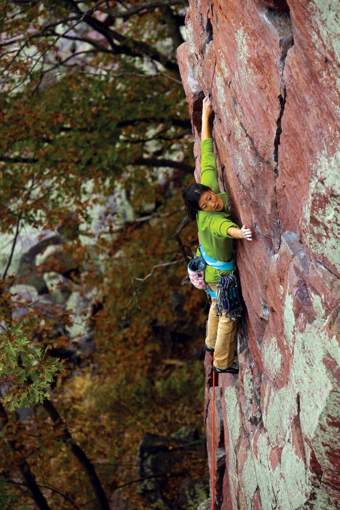 Jules-Cho-Brintons-Crack_30663 None