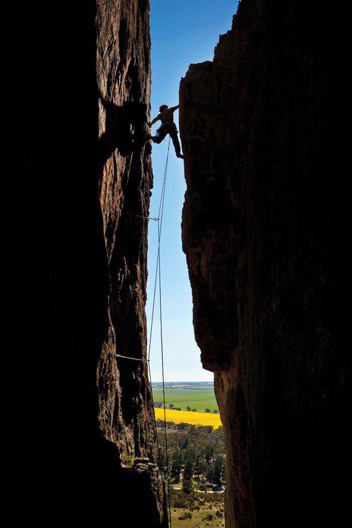 Arapiles-Agamemnon_32117 None