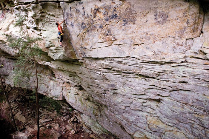 Sammy-Levy-Lights_32216 None