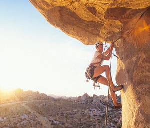 North-Overhang-Jtree-300_32461 None