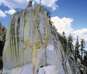 Spooky-Needles-crop_32431 None