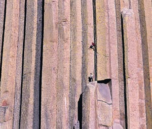 Tulgey-Wood-WY-300_32455 None