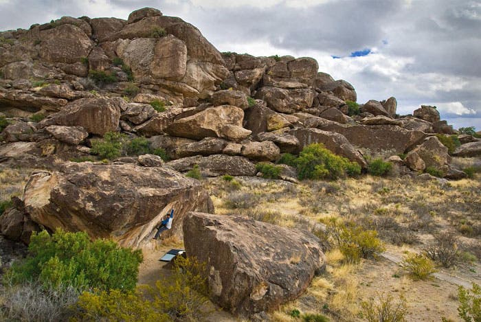 John-Flores-El-Burro_33978 None