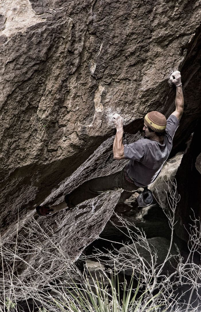 Lev-Pinter-Dragonfly_33972 None