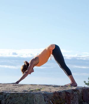 Downward-Dog-HW-300_34248 None
