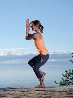 Eagle-HW-300_34235 None