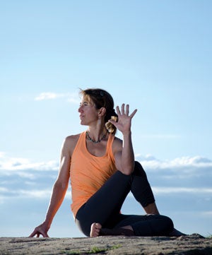 Seated-Twist-HW-300_34254 None