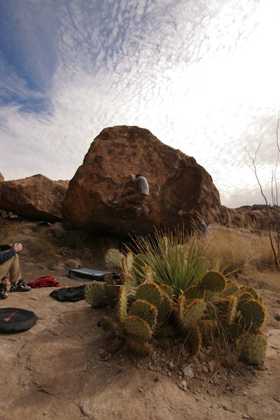 20081220-IMG_8293_4749.jpg None