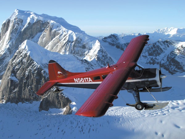 Beaver-by-Bradley_489.jpg Beaver by Bradley.