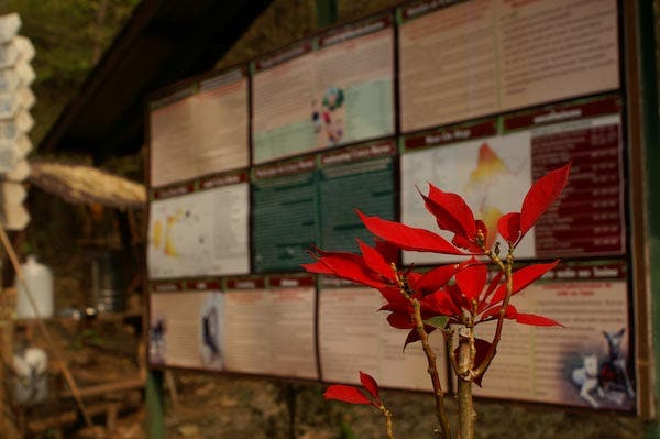 Chiang Mai - Information signs_9094.jpg None