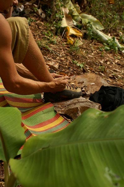 Chiang Rai -climbing and banana trees e None
