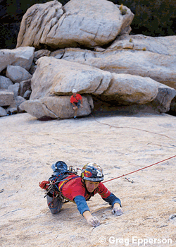 classic-wildwalk-254_2385.gif Walk on the Wild Side, Joshua Tree -- As one of the largest climbing areas in the world, with about 5,000 routes to choose from, Joshua Tree could…