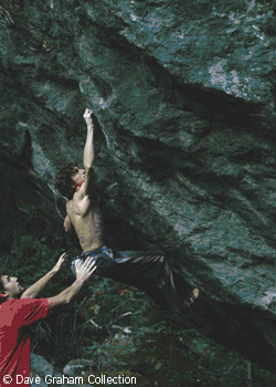 DaveGraham-Problog1_2397.gif None