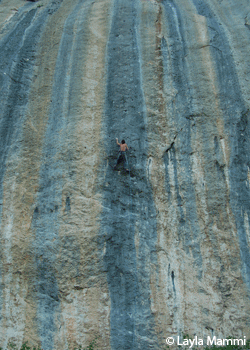 DaveGraham-Realization-PB13_2400.gif \