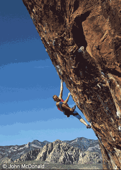 deckingwhilesoloing-252_2404.gif None