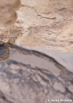 Dolomitesof-theDesert-Oman_2408.gif CLIMBING HOT FLASHES NEWS — The massive limestone cliffs of Oman on the eastern tip of the Arabian Peninsula are hot this winter, with many new…
