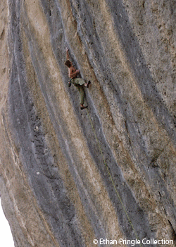 Ethan-Pringle-ProBlog-10_2419.gif ETHAN PRINGLE'S PROBLOG - \