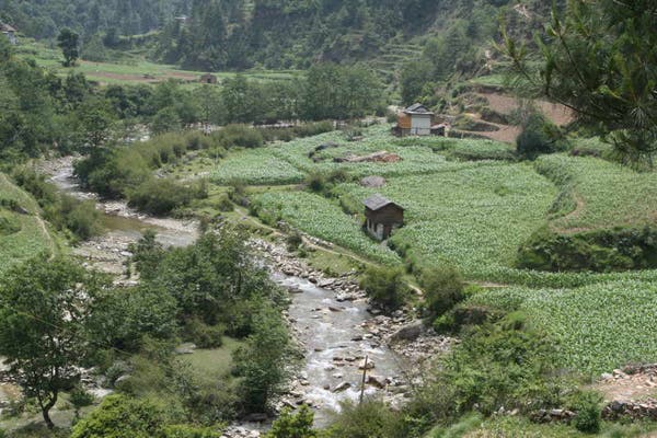 Gerri-Kier-Nepal08-037_675.jpg None