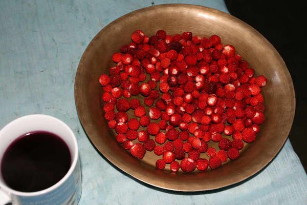 Gerri-Kier-Nepal08-042_679.jpg None