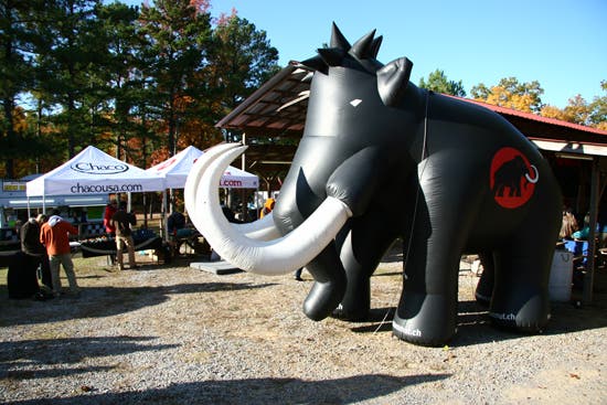 HP40-TC06_2201_4599.jpg © Photo by Brian Burnaham