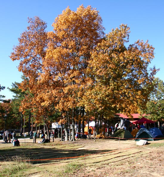 HP40-TC06_2231_4605.jpg © Photo by Brian Burnaham