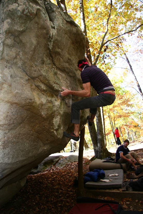 HP40-TC06_2339_4629.jpg © Photo by Brian Burnaham