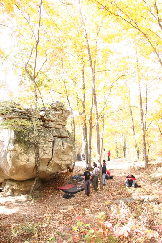 HP40-TC06_2342_4630.jpg © Photo by Brian Burnaham