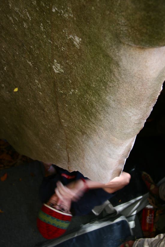 HP40-TC06_2353_4633.jpg © Photo by Brian Burnaham