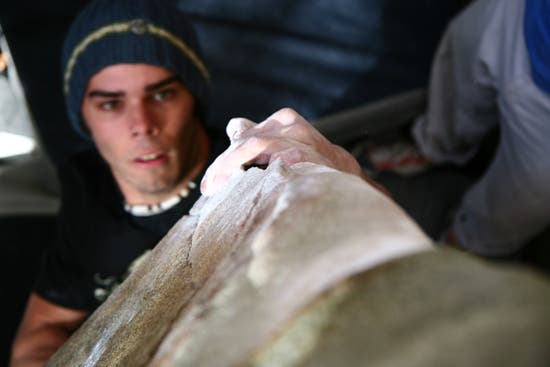 HP40-TC06_2366_4636.jpg © Photo by Brian Burnaham