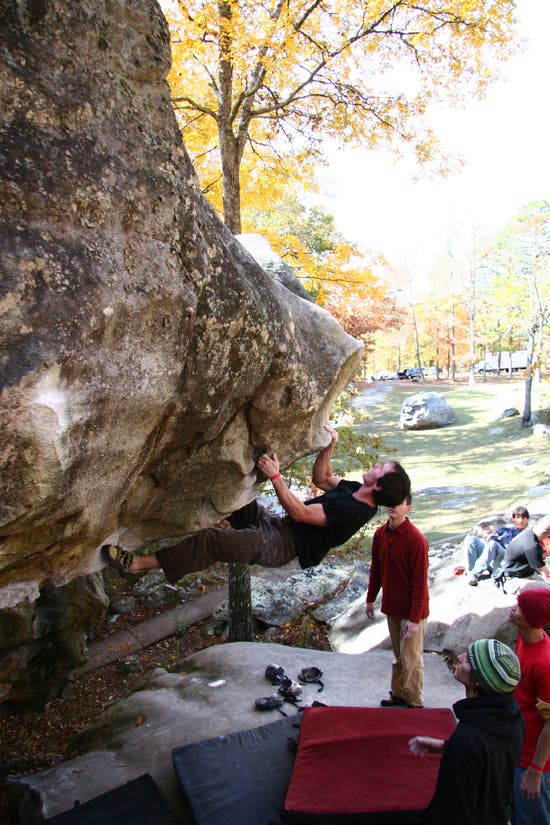 HP40-TC06_2393_4639.jpg © Photo by Brian Burnaham