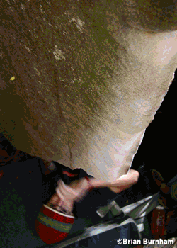 HP40-TC06_2441.gif None
