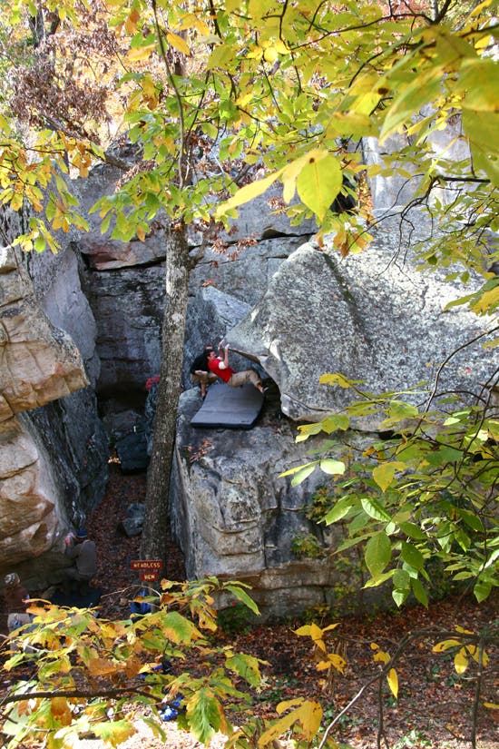 HP40-TC06_2459_4654.jpg © Photo by Brian Burnaham