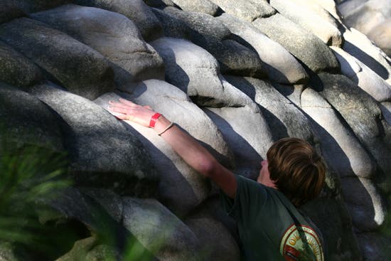 HP40-TC06_2470_4655.jpg © Photo by Brian Burnaham