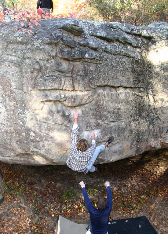 HP40-TC06_2527_4664.jpg © Photo by Brian Burnaham