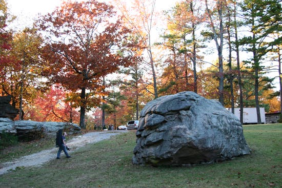 HP40-TC06_2569_4669.jpg © Photo by Brian Burnaham