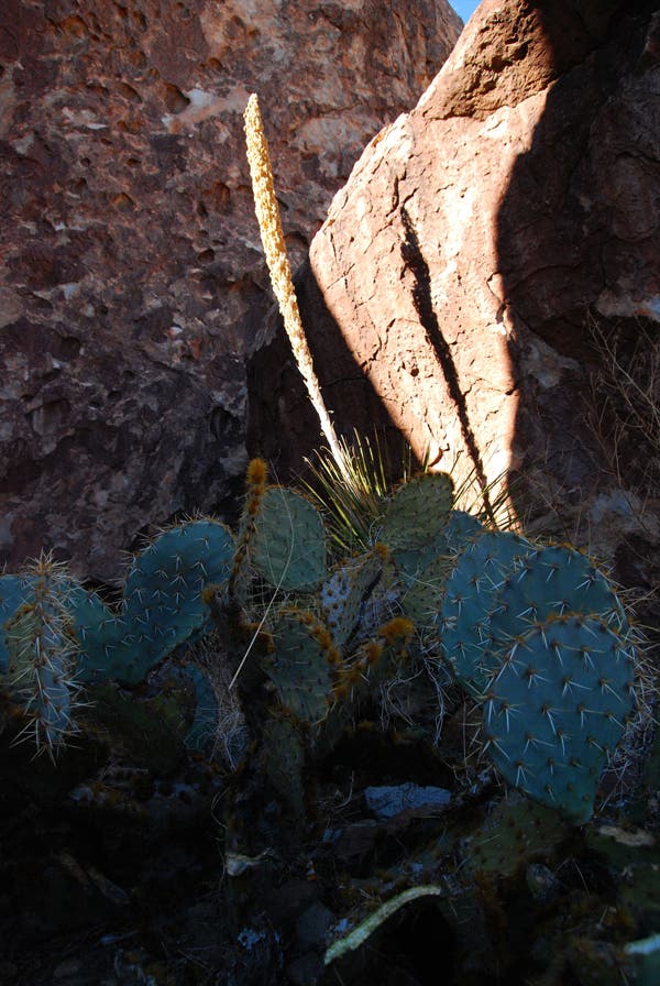Hueco-EMoosburger-Pic_11_10923.jpg © Photo by Emanuel Moosburger