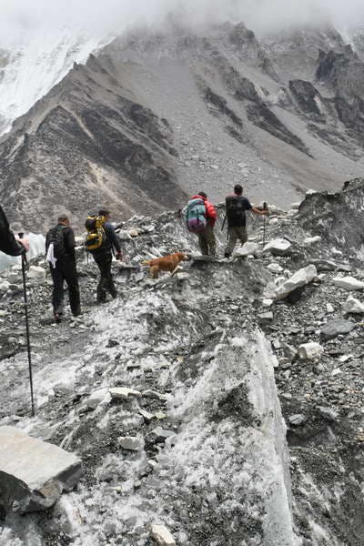 IMG_0149_737.JPG None