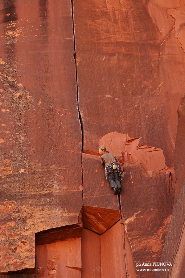 IMG_3204_4978.jpg None