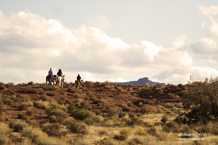 IMG_3348_4990.jpg None