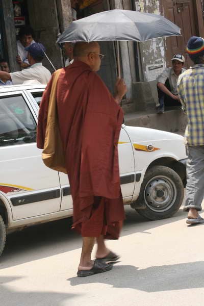 IMG_8633_751.JPG None