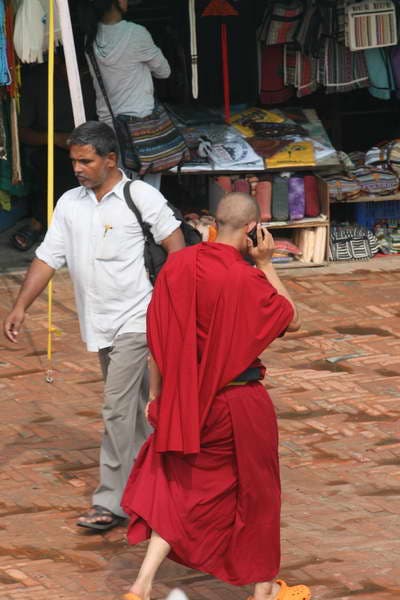 IMG_8739_752.JPG None