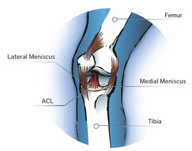 Injury-Proof Your Climber Knees