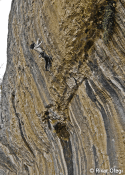 Mandragora-PROBLOG-JB10_2474.gif Last November, I was attempting Mandragora, located at my “second home” —