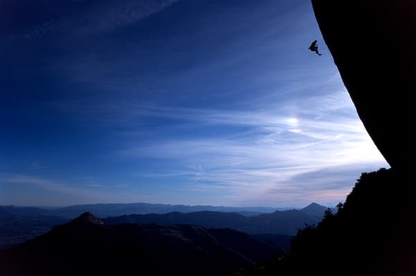 MBlumen002_5787.jpg None