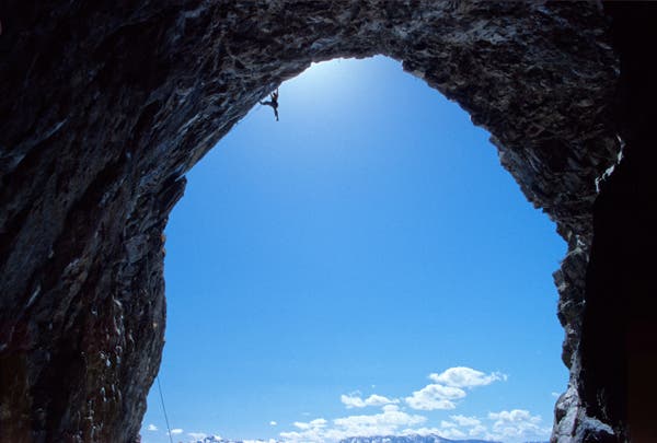 MBlumen004_5789.jpg None