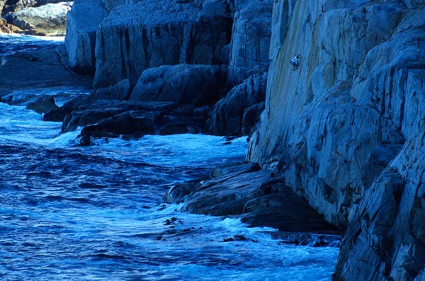 MBlumen006_5791.jpg None