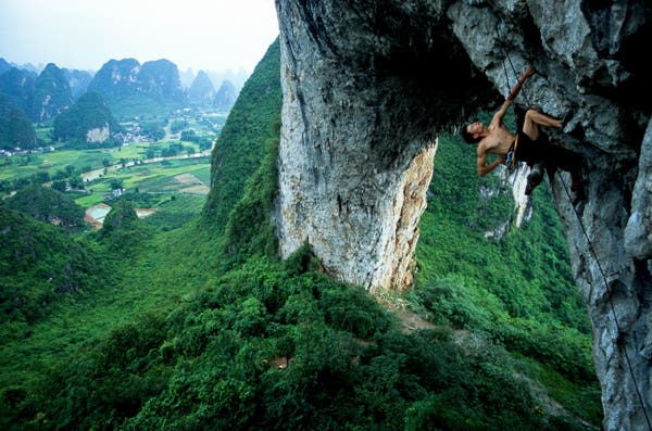 MBlumen008_5793.jpg None