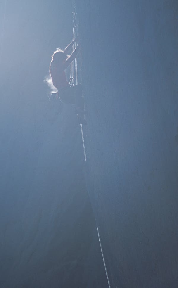 MBlumen016_5801.jpg None