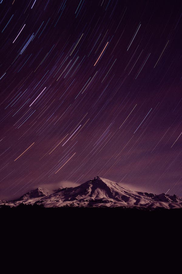 MBlumen018_5803.jpg None